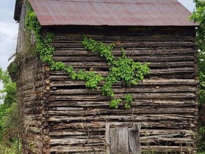 TOBACCO BARN -- Free to Good Home!