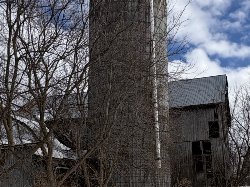 Dairy Barn - Estimated to been built in the 1860's Pine rough sawn Timber Frame for Free !