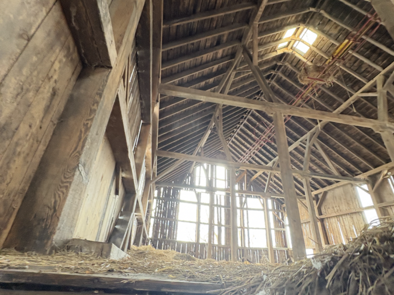 Dairy Barn - Estimated to been built in the 1860's Pine rough sawn Timber Frame for Free !