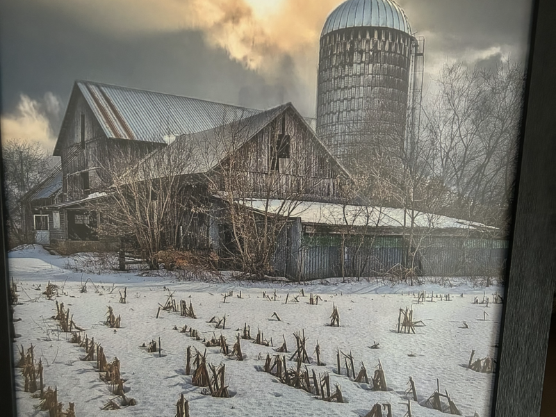 Dairy Barn - Estimated to been built in the 1860's Pine rough sawn Timber Frame for Free !