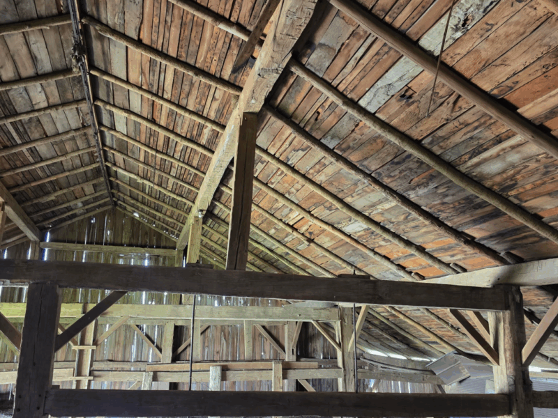 Dairy Barn - Estimated to been built in the 1860's Pine rough sawn Timber Frame for Free !