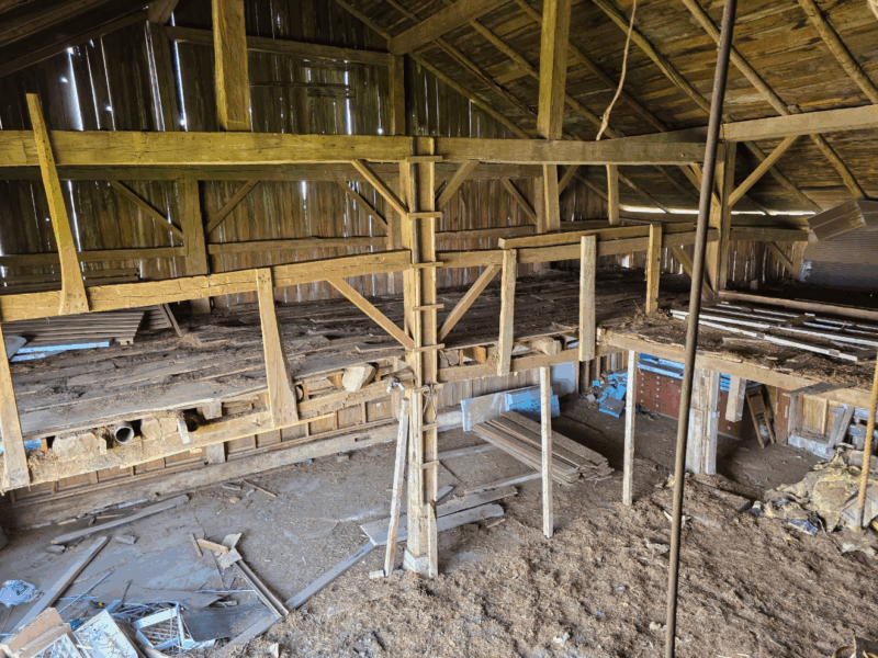 Dairy Barn - Estimated to been built in the 1860's Pine rough sawn Timber Frame for Free !