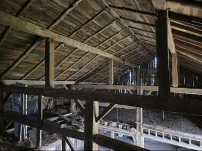 Dairy Barn - Estimated to been built in the 1860's Pine rough sawn Timber Frame for Free !
