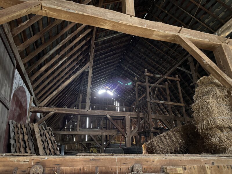 100 Year Old Past Dairy Barn