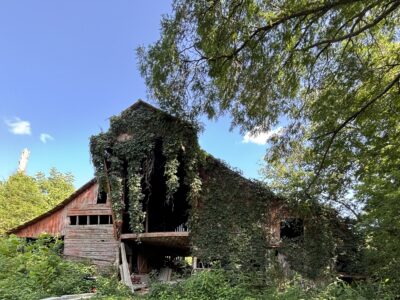 Vintage Barn (100 yr old)