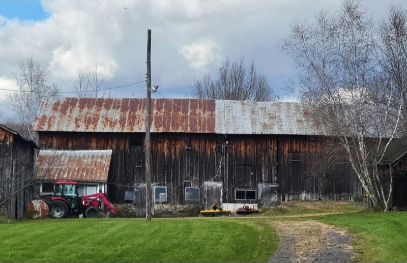 My Barn