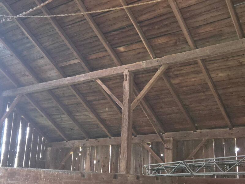 My Barn