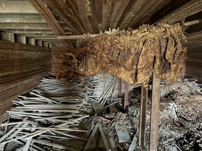 Tobacco pack house