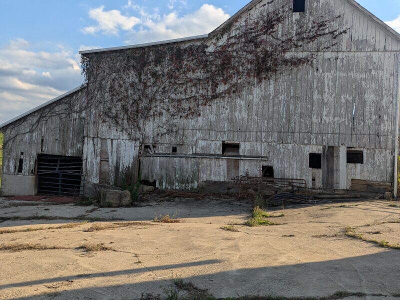 100+ yr old dairy barn