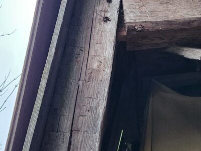 Post and beam multi-use barn