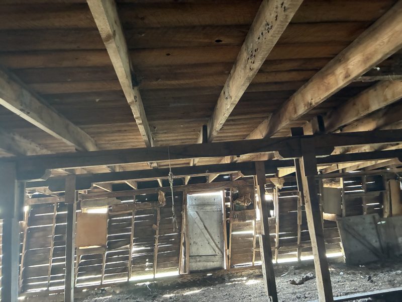Old school house made into cattle barn