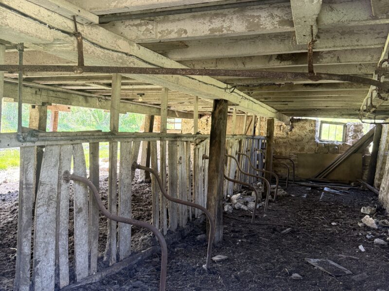 1884 barn
