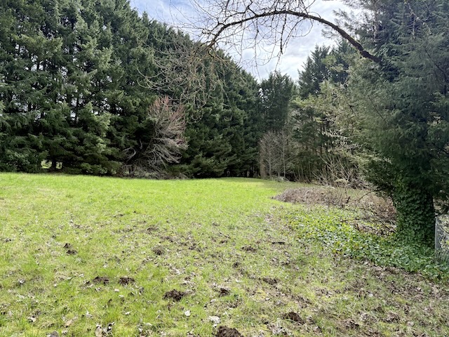 Barn Rescue & Homestead Opportunity
