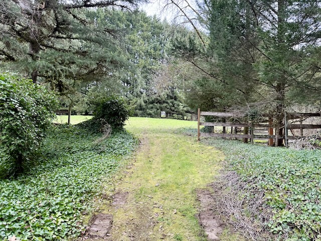 Barn Rescue & Homestead Opportunity