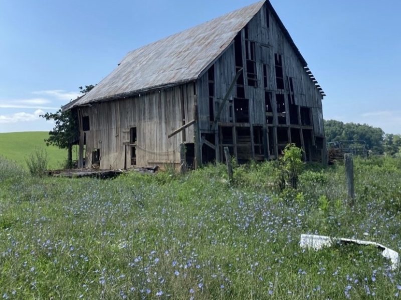 Reclaimed lumber and hewn beams