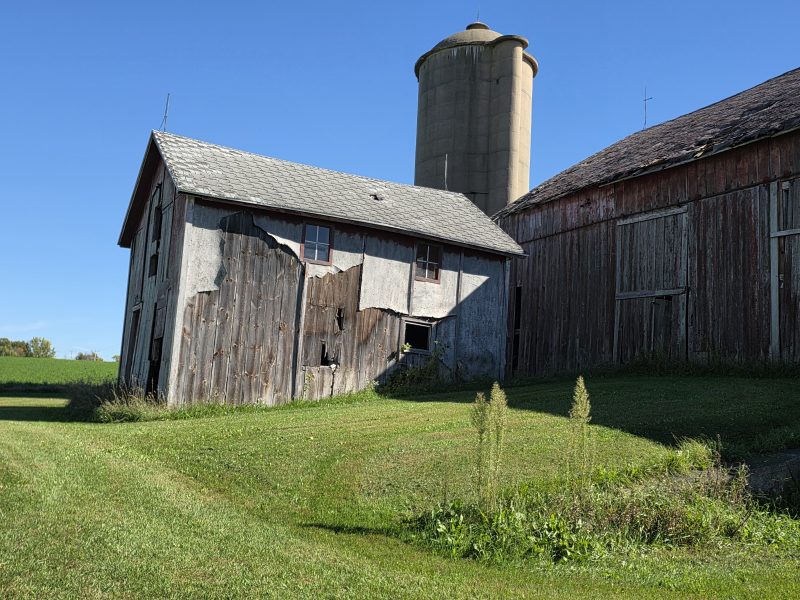 Barn for sale plenty of good wood for repurpose